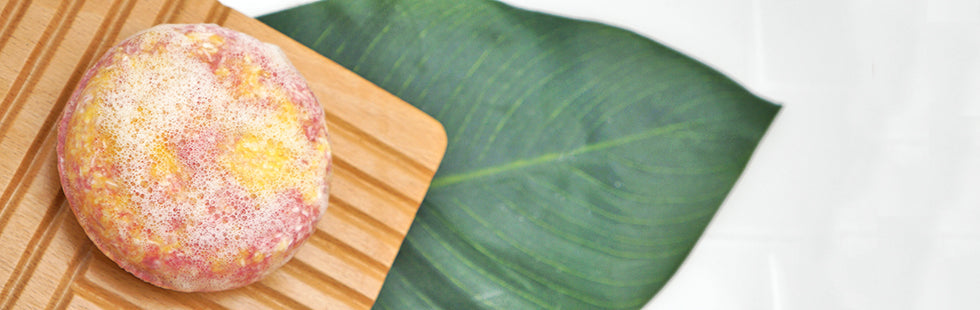 Shampoo Bars | Cleanse Responsibly | Basin