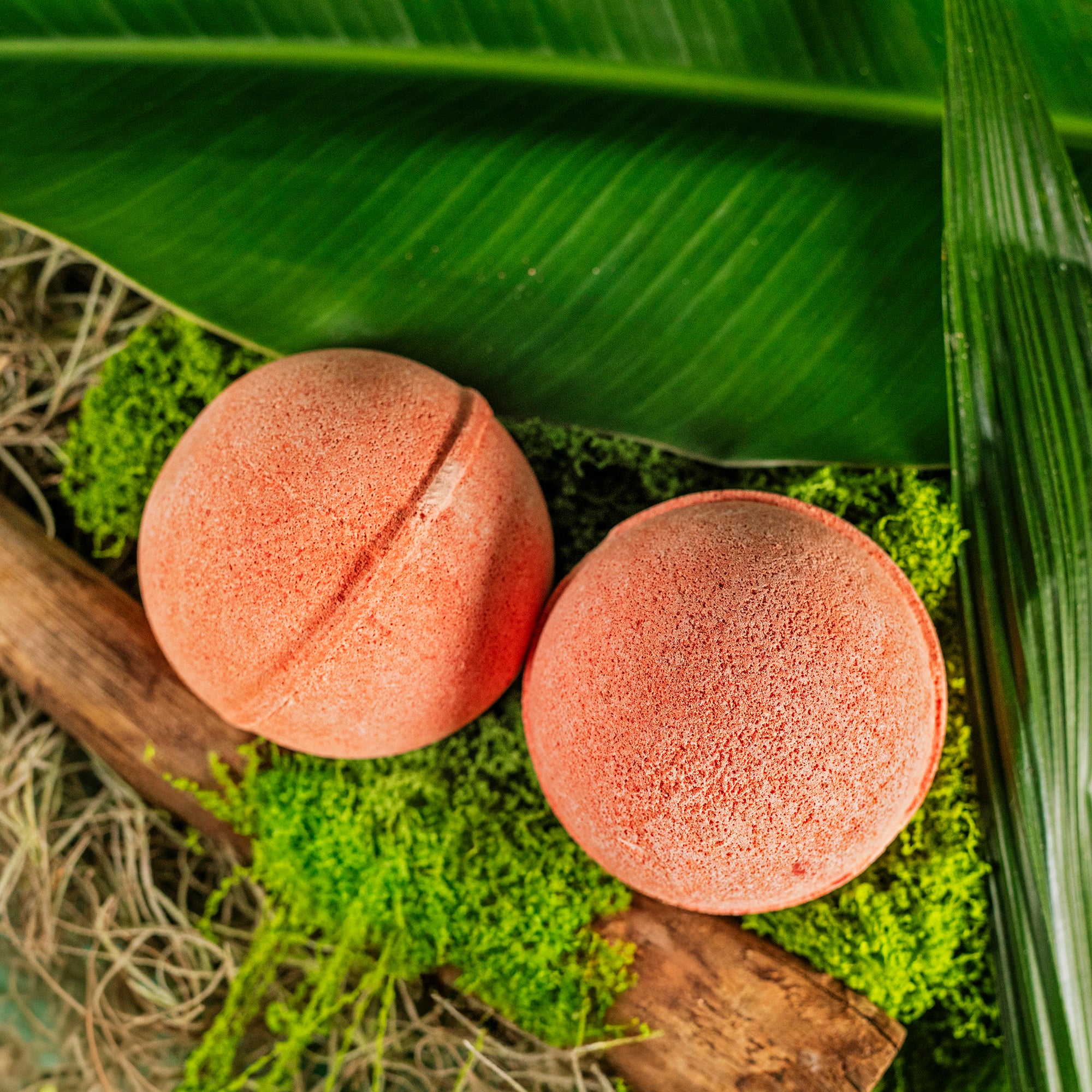 Safari Treasure Bath Bomb