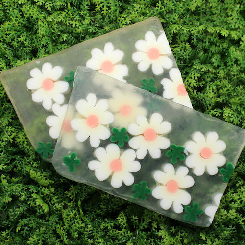 Daisy Soap