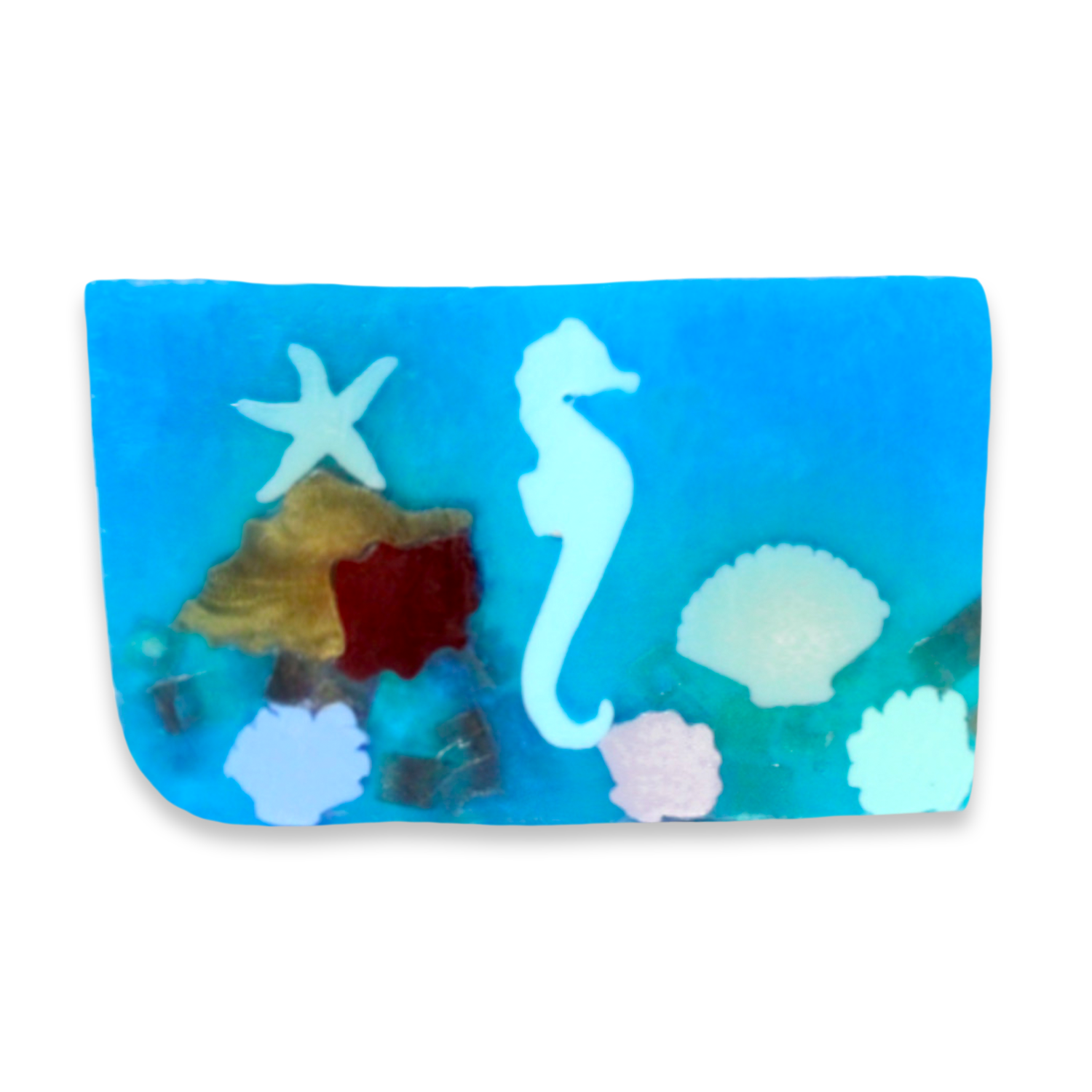 Marine Life Soap