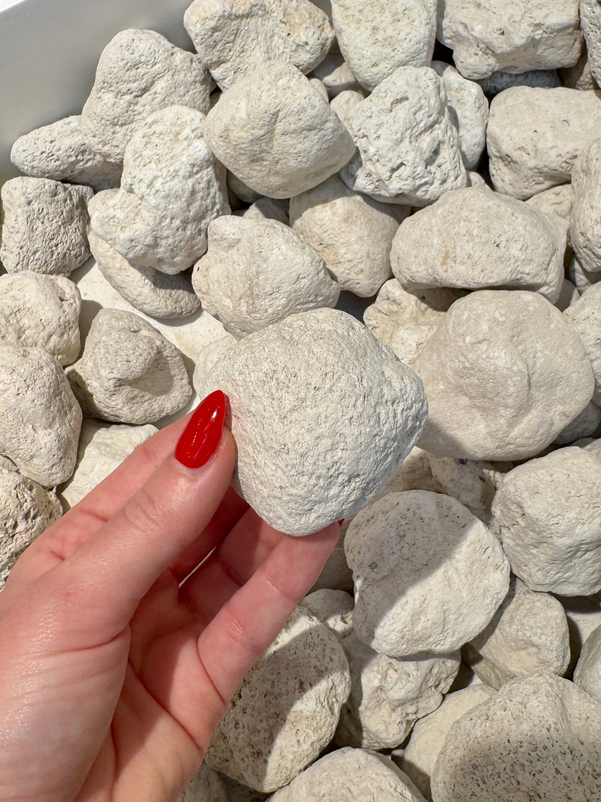 Pumice Stone