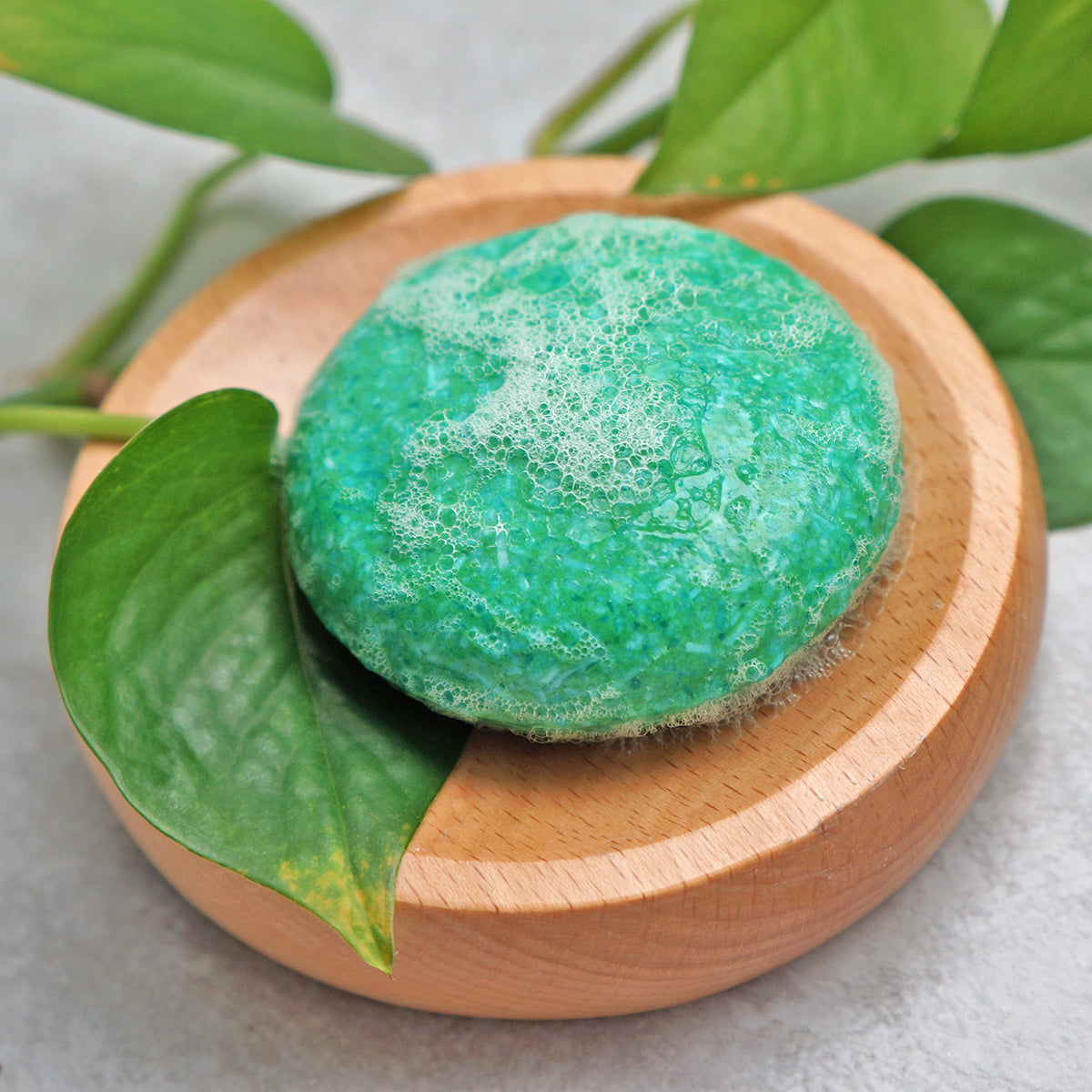 Tea Tree Shampoo Bar