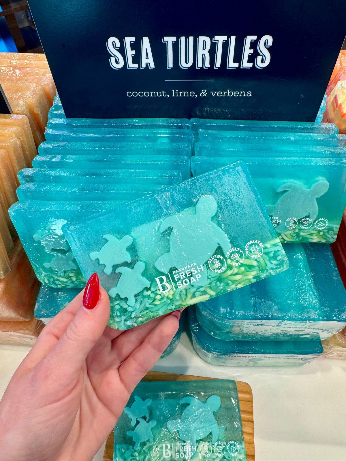 Sea Turtles Soap